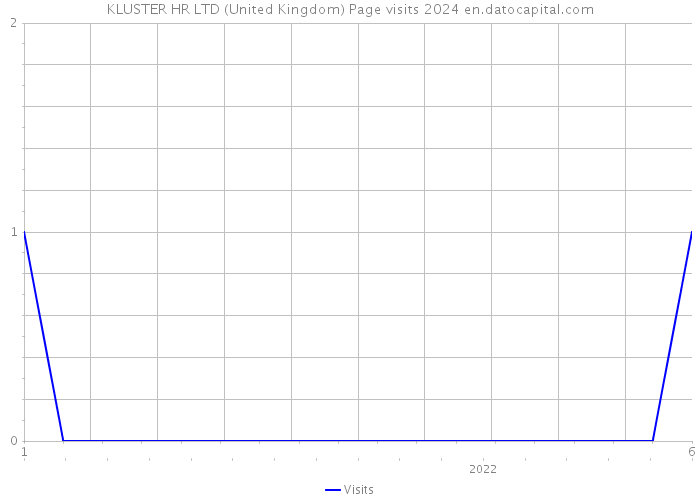 KLUSTER HR LTD (United Kingdom) Page visits 2024 
