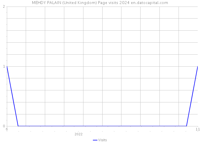 MEHDY PALAIN (United Kingdom) Page visits 2024 