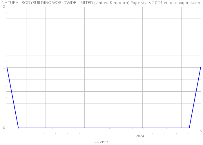 NATURAL BODYBUILDING WORLDWIDE LIMITED (United Kingdom) Page visits 2024 
