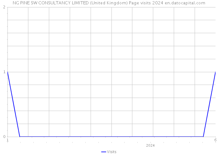 NG PINE SW CONSULTANCY LIMITED (United Kingdom) Page visits 2024 