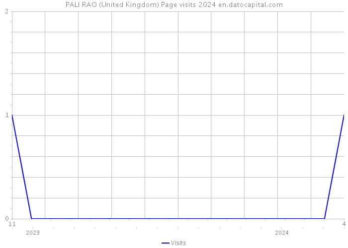 PALI RAO (United Kingdom) Page visits 2024 