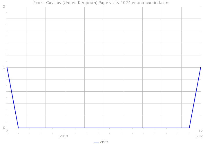 Pedro Casillas (United Kingdom) Page visits 2024 