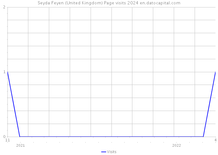 Seyda Feyen (United Kingdom) Page visits 2024 