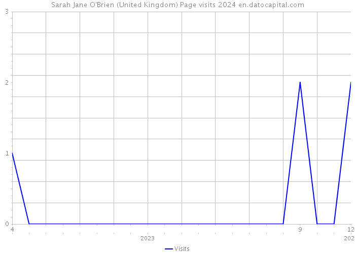 Sarah Jane O'Brien (United Kingdom) Page visits 2024 