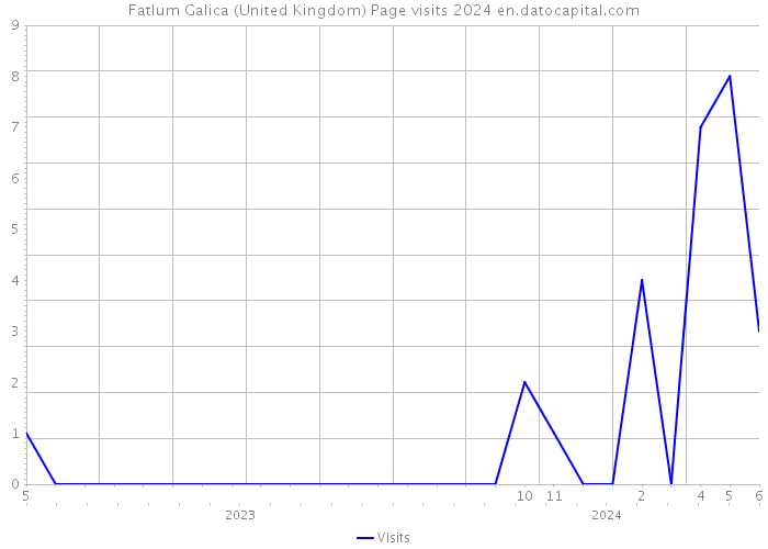 Fatlum Galica (United Kingdom) Page visits 2024 