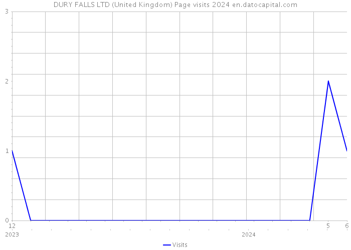DURY FALLS LTD (United Kingdom) Page visits 2024 