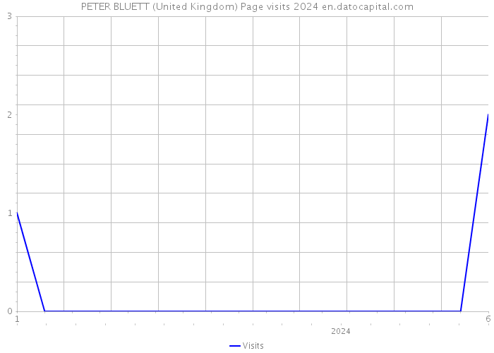 PETER BLUETT (United Kingdom) Page visits 2024 