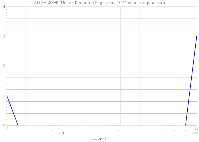 ALI SHUBBER (United Kingdom) Page visits 2024 