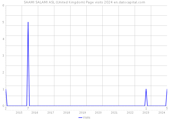 SAAMI SALAMI ASL (United Kingdom) Page visits 2024 