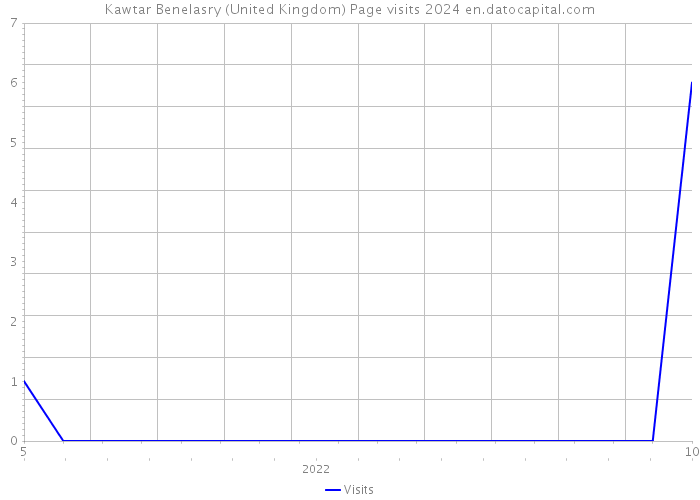 Kawtar Benelasry (United Kingdom) Page visits 2024 