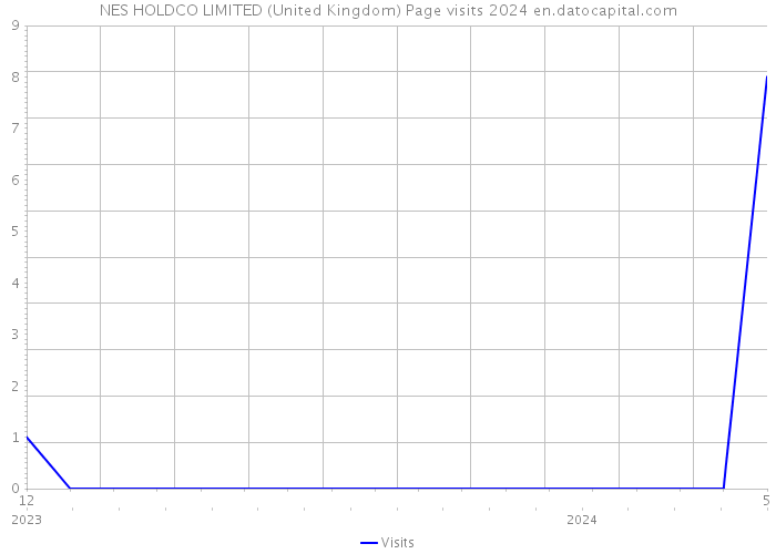 NES HOLDCO LIMITED (United Kingdom) Page visits 2024 