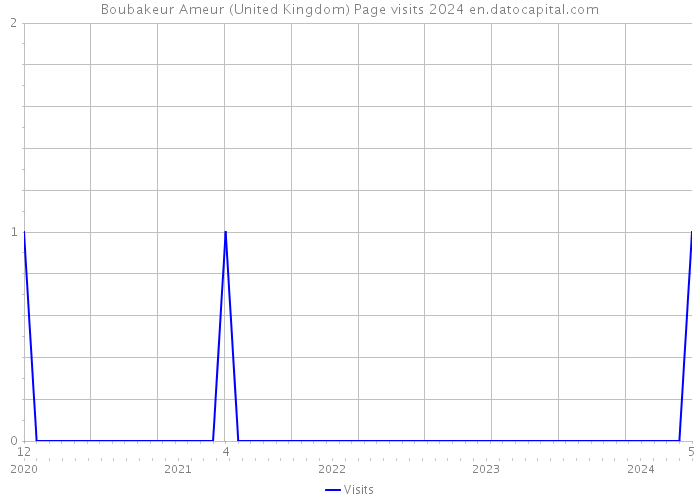 Boubakeur Ameur (United Kingdom) Page visits 2024 