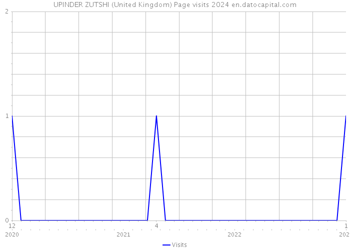 UPINDER ZUTSHI (United Kingdom) Page visits 2024 