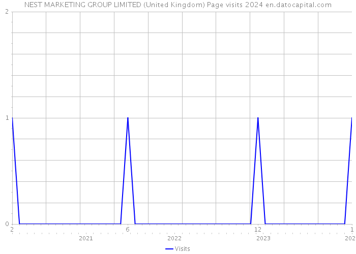 NEST MARKETING GROUP LIMITED (United Kingdom) Page visits 2024 
