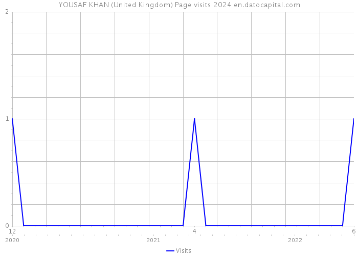 YOUSAF KHAN (United Kingdom) Page visits 2024 