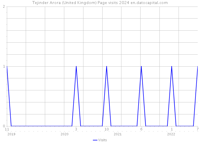 Tejinder Arora (United Kingdom) Page visits 2024 