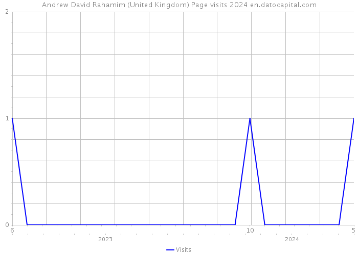 Andrew David Rahamim (United Kingdom) Page visits 2024 