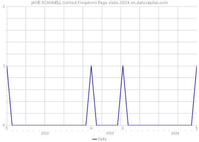 JANE SCANNELL (United Kingdom) Page visits 2024 