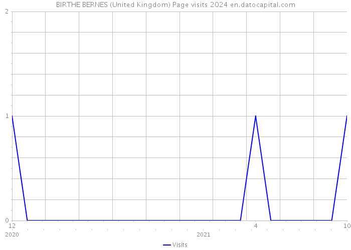 BIRTHE BERNES (United Kingdom) Page visits 2024 