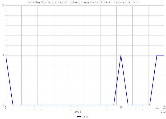 Panashe Siwira (United Kingdom) Page visits 2024 