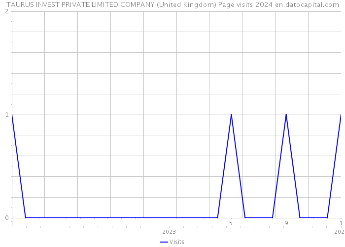 TAURUS INVEST PRIVATE LIMITED COMPANY (United Kingdom) Page visits 2024 