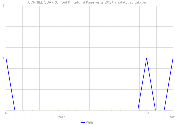CORNIEL QUAK (United Kingdom) Page visits 2024 