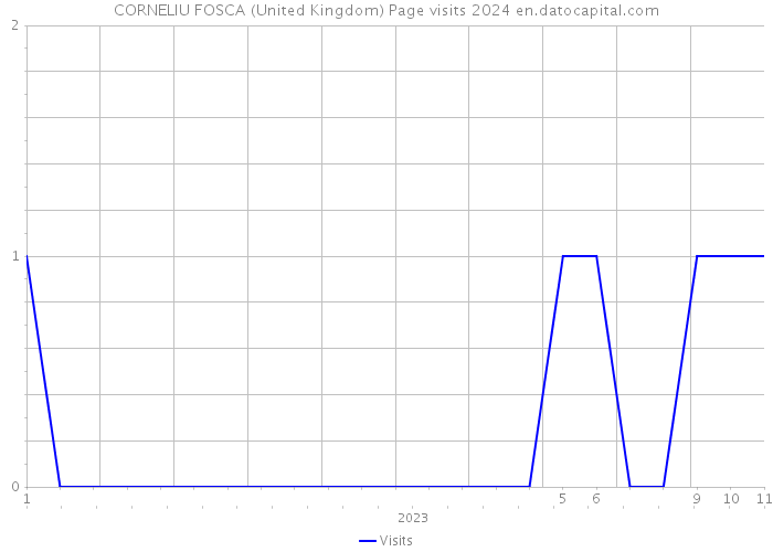 CORNELIU FOSCA (United Kingdom) Page visits 2024 