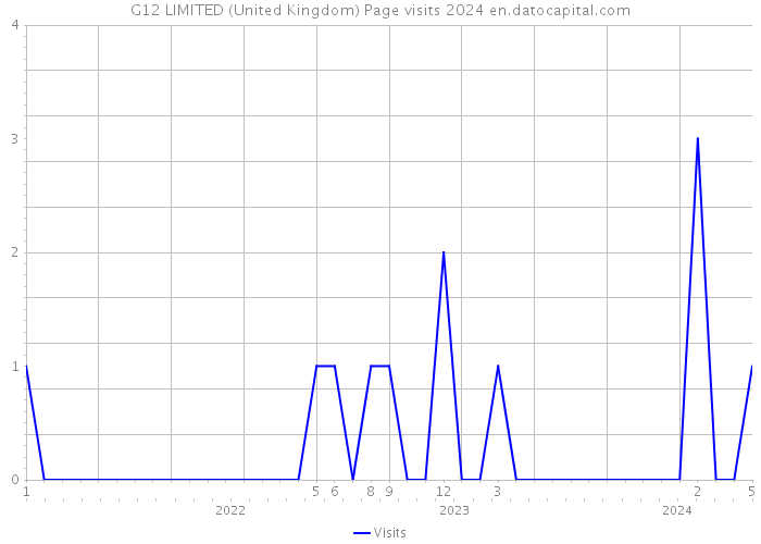 G12 LIMITED (United Kingdom) Page visits 2024 