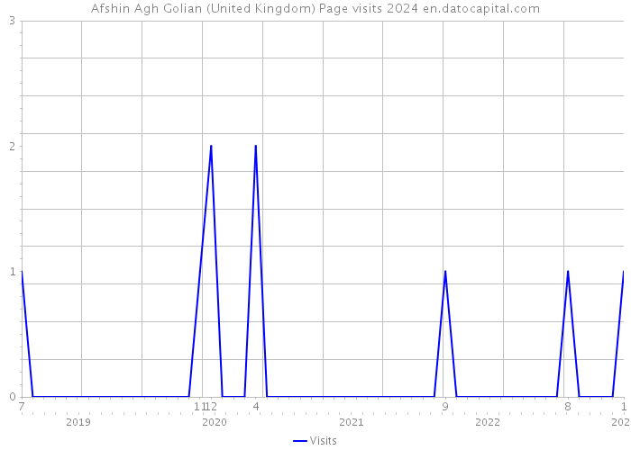 Afshin Agh Golian (United Kingdom) Page visits 2024 