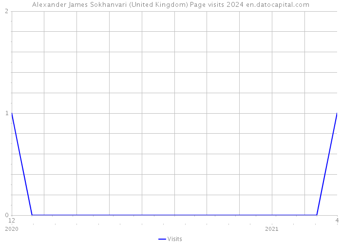 Alexander James Sokhanvari (United Kingdom) Page visits 2024 