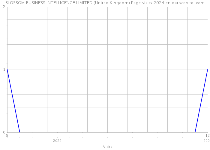 BLOSSOM BUSINESS INTELLIGENCE LIMITED (United Kingdom) Page visits 2024 