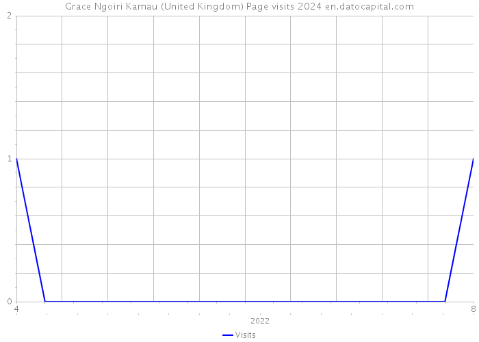 Grace Ngoiri Kamau (United Kingdom) Page visits 2024 