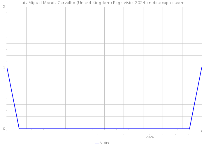 Luis Miguel Morais Carvalho (United Kingdom) Page visits 2024 