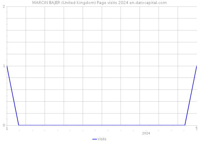 MARCIN BAJER (United Kingdom) Page visits 2024 