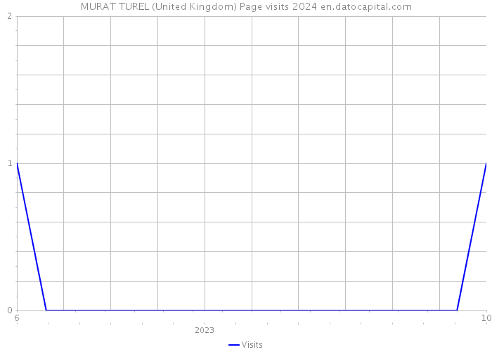 MURAT TUREL (United Kingdom) Page visits 2024 