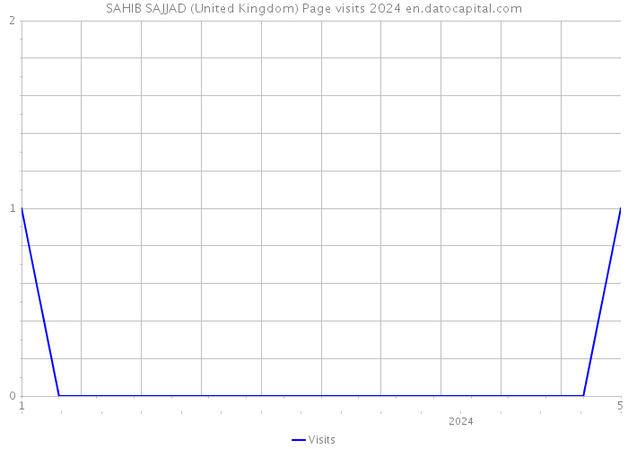 SAHIB SAJJAD (United Kingdom) Page visits 2024 