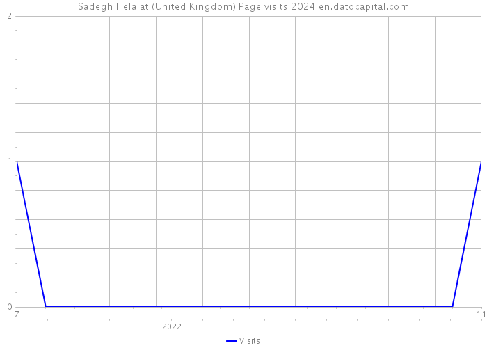 Sadegh Helalat (United Kingdom) Page visits 2024 