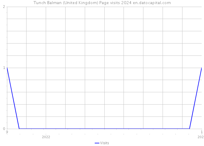 Tunch Balman (United Kingdom) Page visits 2024 
