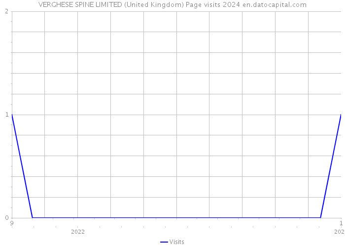 VERGHESE SPINE LIMITED (United Kingdom) Page visits 2024 