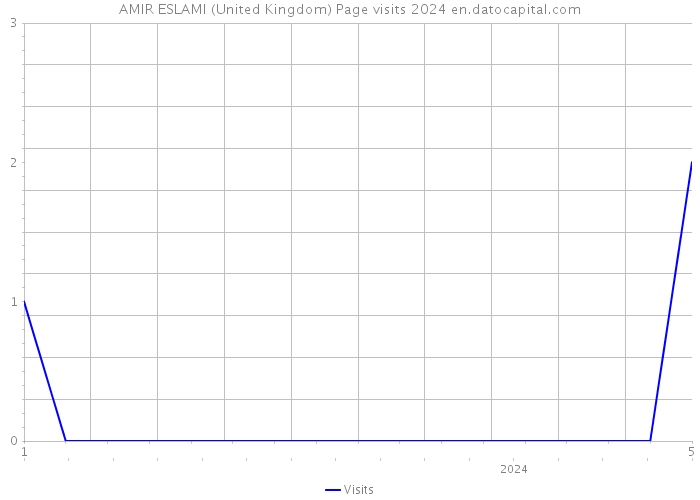 AMIR ESLAMI (United Kingdom) Page visits 2024 