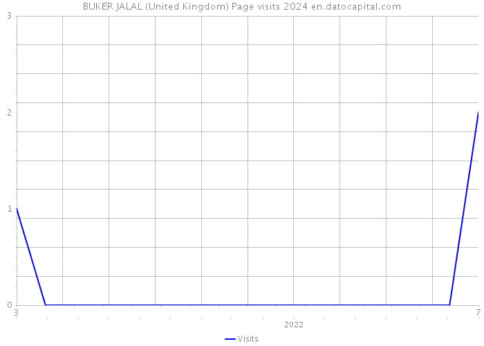 BUKER JALAL (United Kingdom) Page visits 2024 