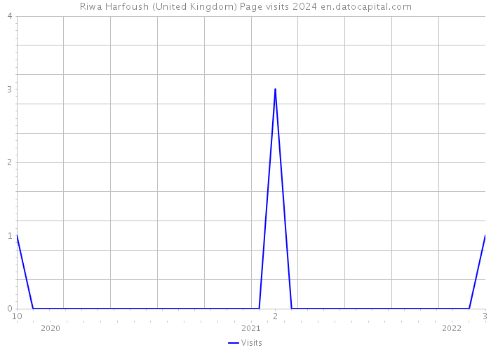 Riwa Harfoush (United Kingdom) Page visits 2024 