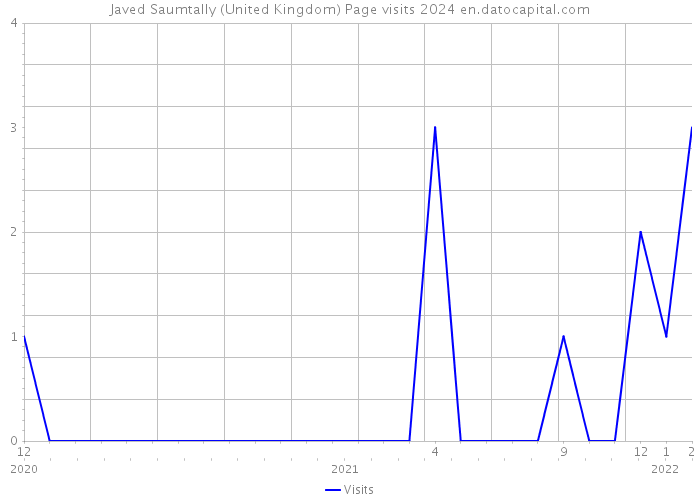 Javed Saumtally (United Kingdom) Page visits 2024 