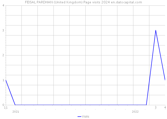 FEISAL PARDHAN (United Kingdom) Page visits 2024 