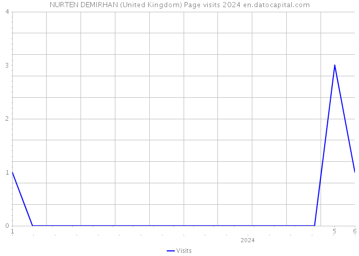 NURTEN DEMIRHAN (United Kingdom) Page visits 2024 