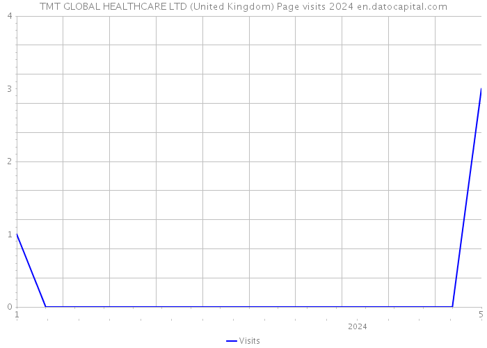 TMT GLOBAL HEALTHCARE LTD (United Kingdom) Page visits 2024 