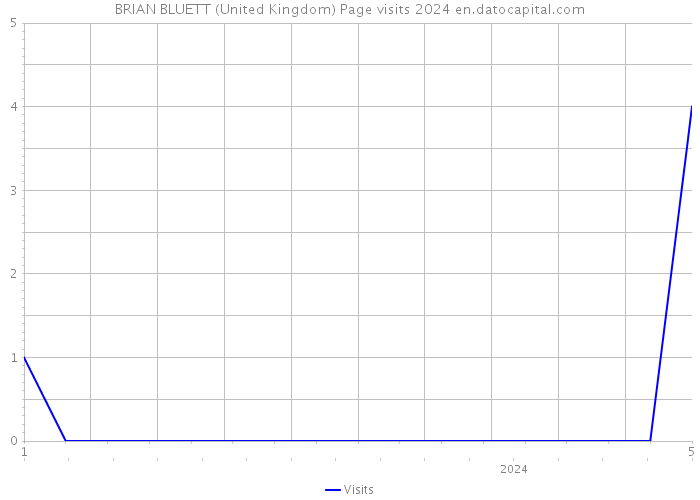 BRIAN BLUETT (United Kingdom) Page visits 2024 
