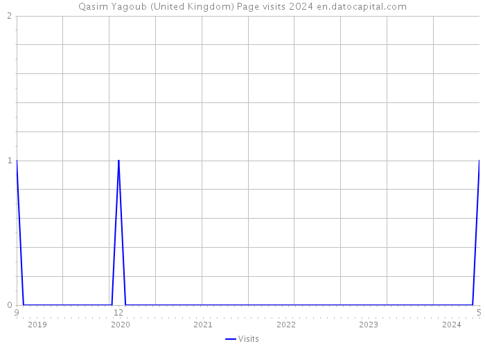 Qasim Yagoub (United Kingdom) Page visits 2024 