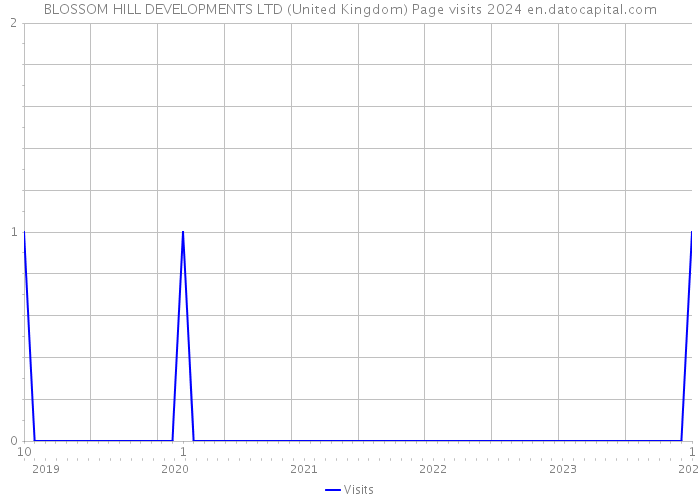 BLOSSOM HILL DEVELOPMENTS LTD (United Kingdom) Page visits 2024 