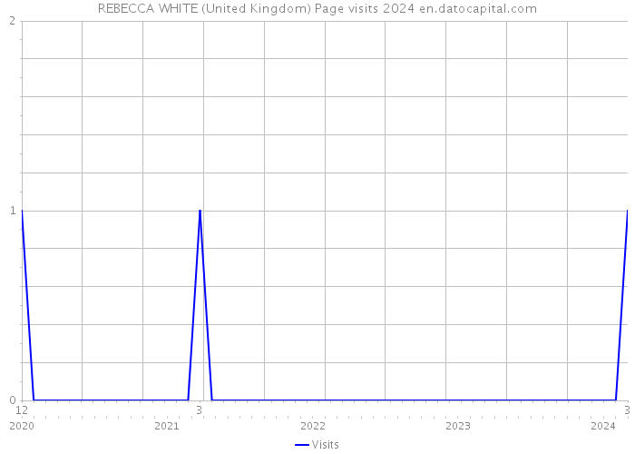 REBECCA WHITE (United Kingdom) Page visits 2024 
